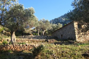 Silvester-Special Wandern auf Mallorca