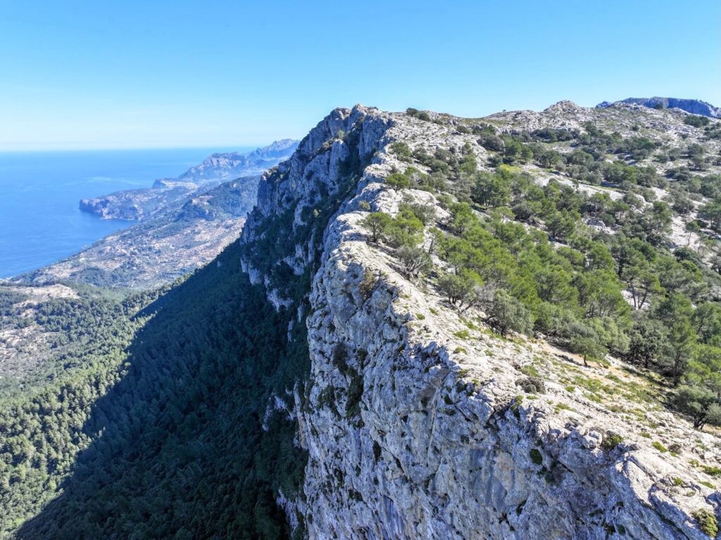 Auf dem Cami de´s Arxiduc